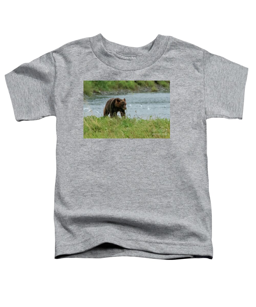 Alaska Toddler T-Shirt featuring the photograph Juvenile Brown Bear on the Bank of Pack Creek, Alaska by Nancy Gleason