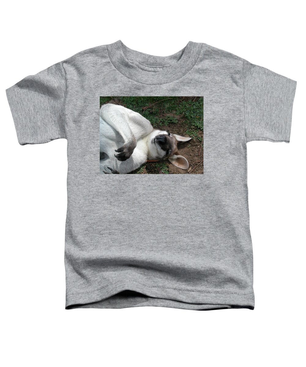 Kangaroo Toddler T-Shirt featuring the photograph Kangaroo Zen by Joelle Philibert
