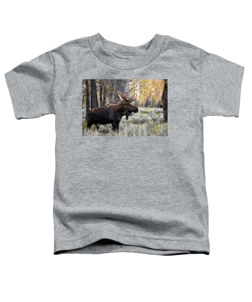 Animals Toddler T-Shirt featuring the photograph King of the Tetons by Linda Shannon Morgan
