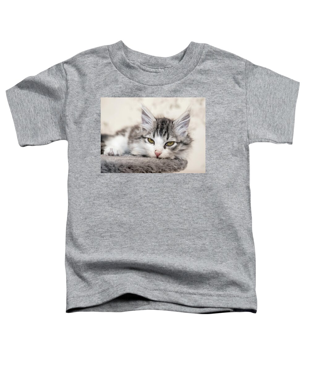 Cat Toddler T-Shirt featuring the photograph Kitten Lying On Bed And Looking At Camera by Mikhail Kokhanchikov