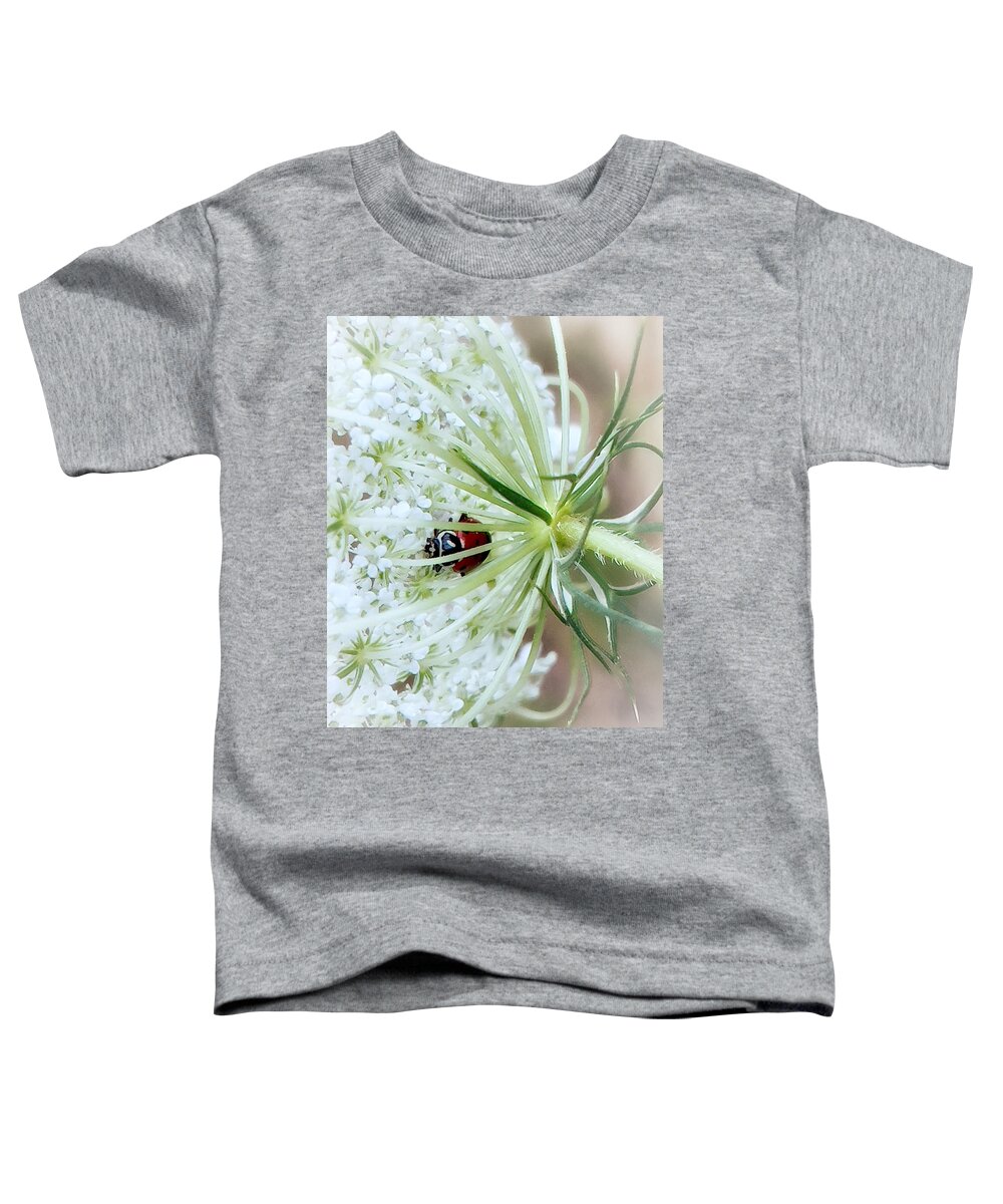 Ladybug Toddler T-Shirt featuring the photograph Ladybug in Lace by Steph Gabler