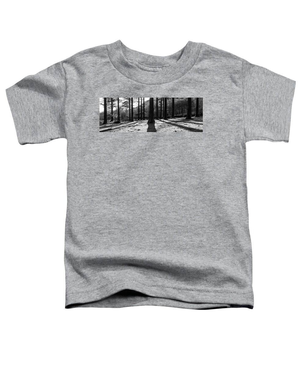 Panorama Toddler T-Shirt featuring the photograph Lake District Woodland Black and white by Sonny Ryse