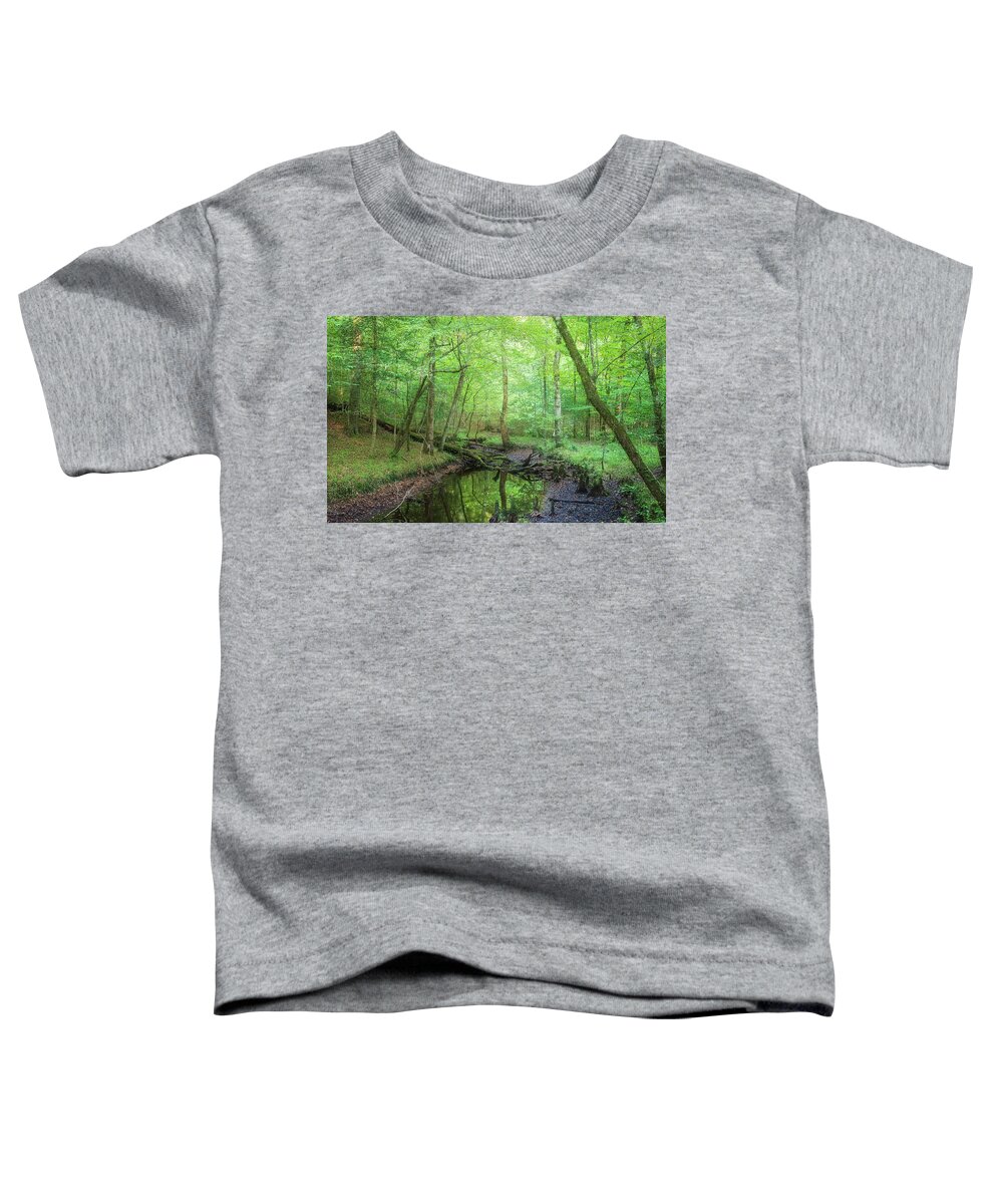 Forest Toddler T-Shirt featuring the photograph Late Summer in the Forest by Bob Decker