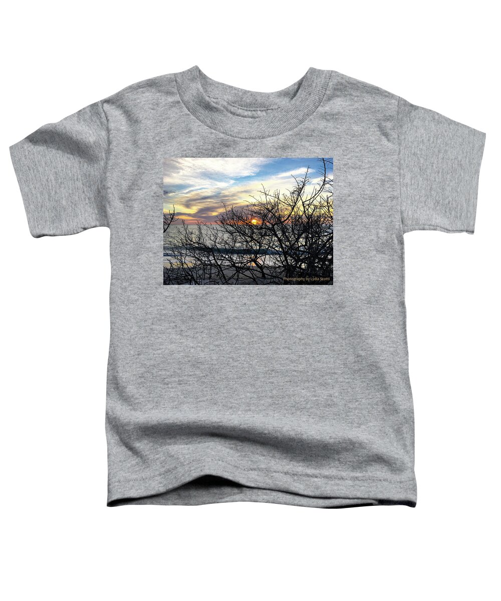 Susan Molnar Toddler T-Shirt featuring the photograph Late Winter Sunset - Edited in Lightroom by Susan Molnar