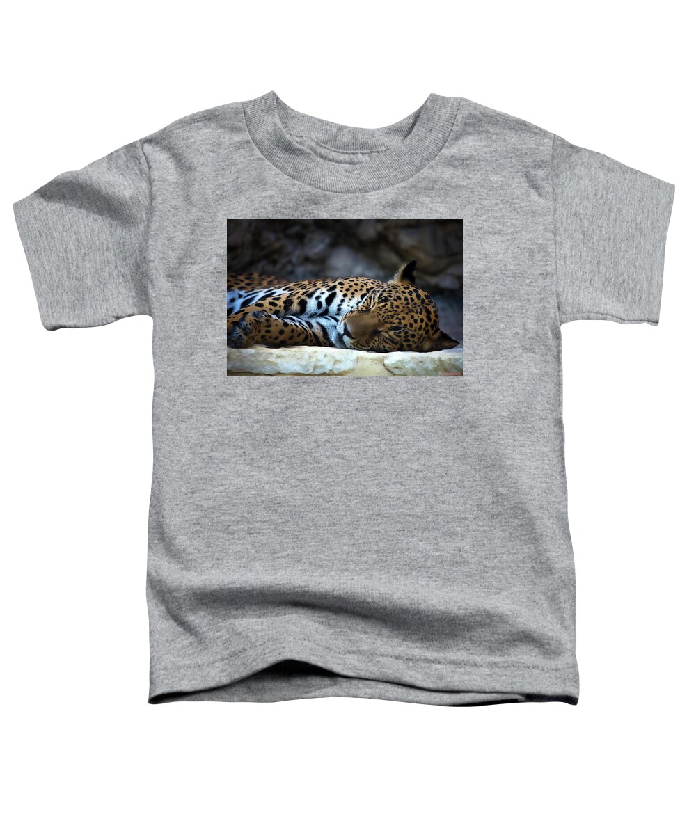 Animal Toddler T-Shirt featuring the photograph Leopard Sleeping by Rene Vasquez