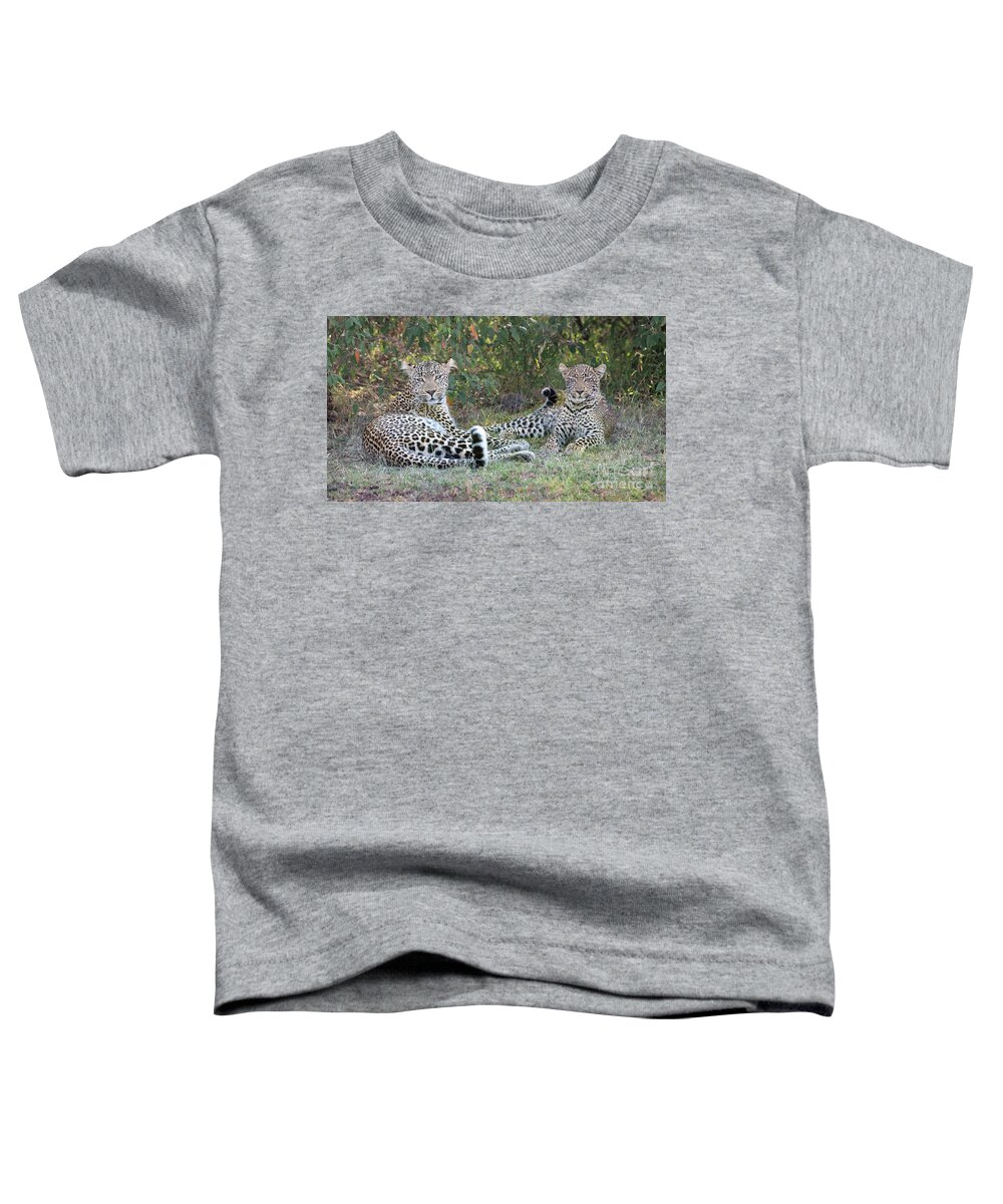 Africa Toddler T-Shirt featuring the photograph Leopards At Rest by Sandra Bronstein