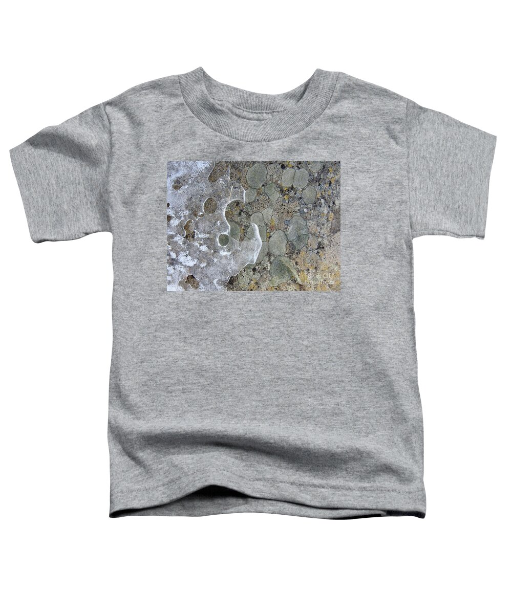 Lichen Toddler T-Shirt featuring the photograph Lichen and Ice by Nicola Finch