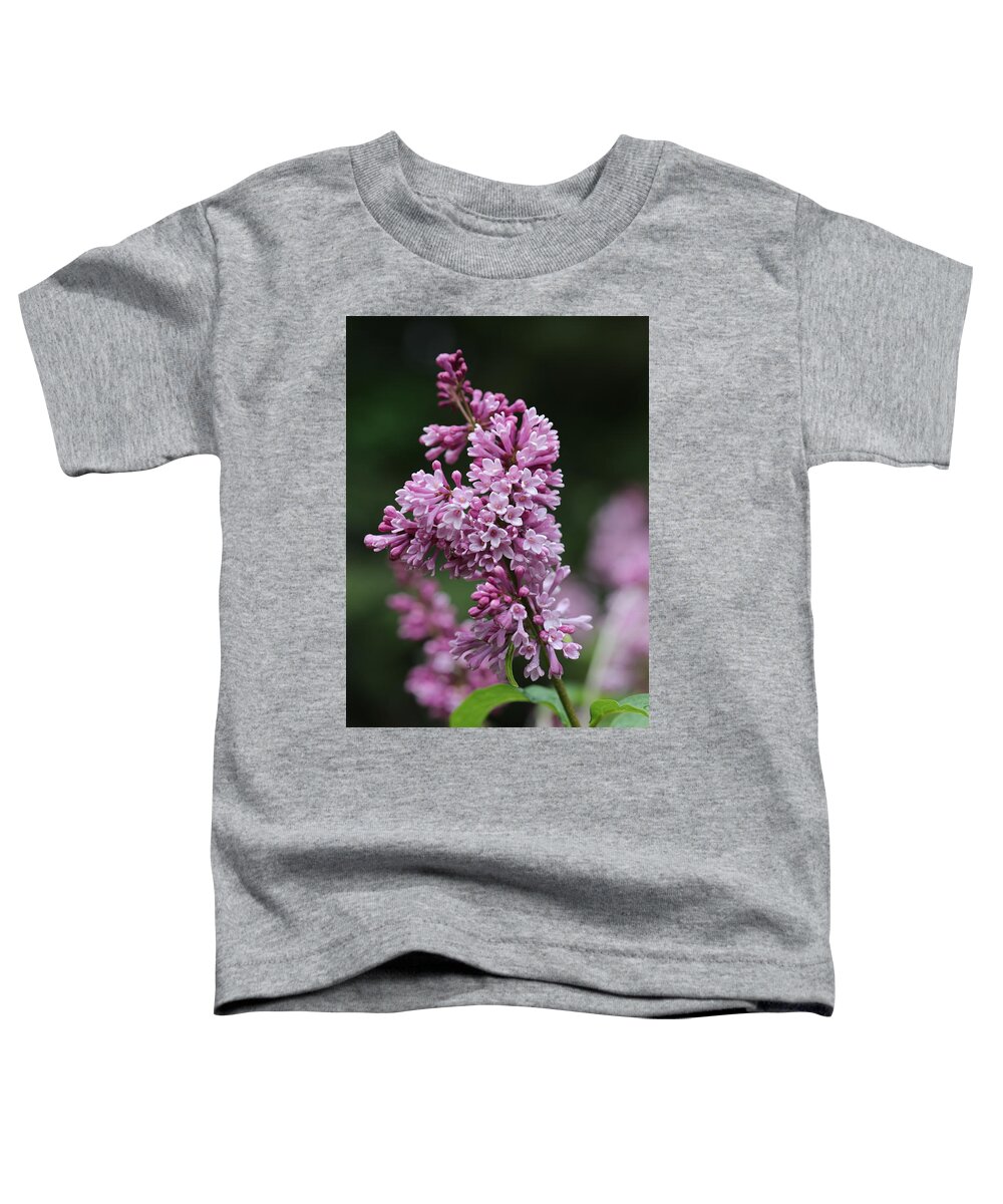 Shrub Toddler T-Shirt featuring the photograph Lilac by Tammy Pool