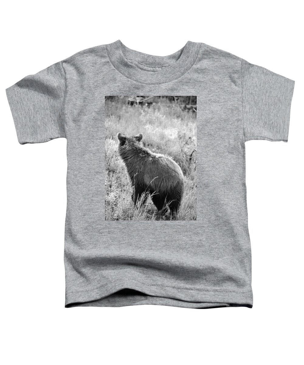 Western Art Toddler T-Shirt featuring the photograph Little Bear by Alden White Ballard