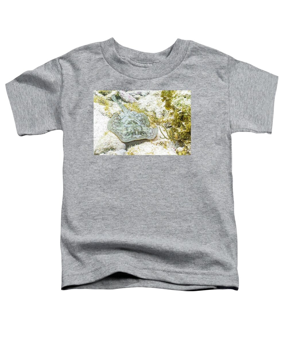 Animals Toddler T-Shirt featuring the photograph Little Spot by Lynne Browne
