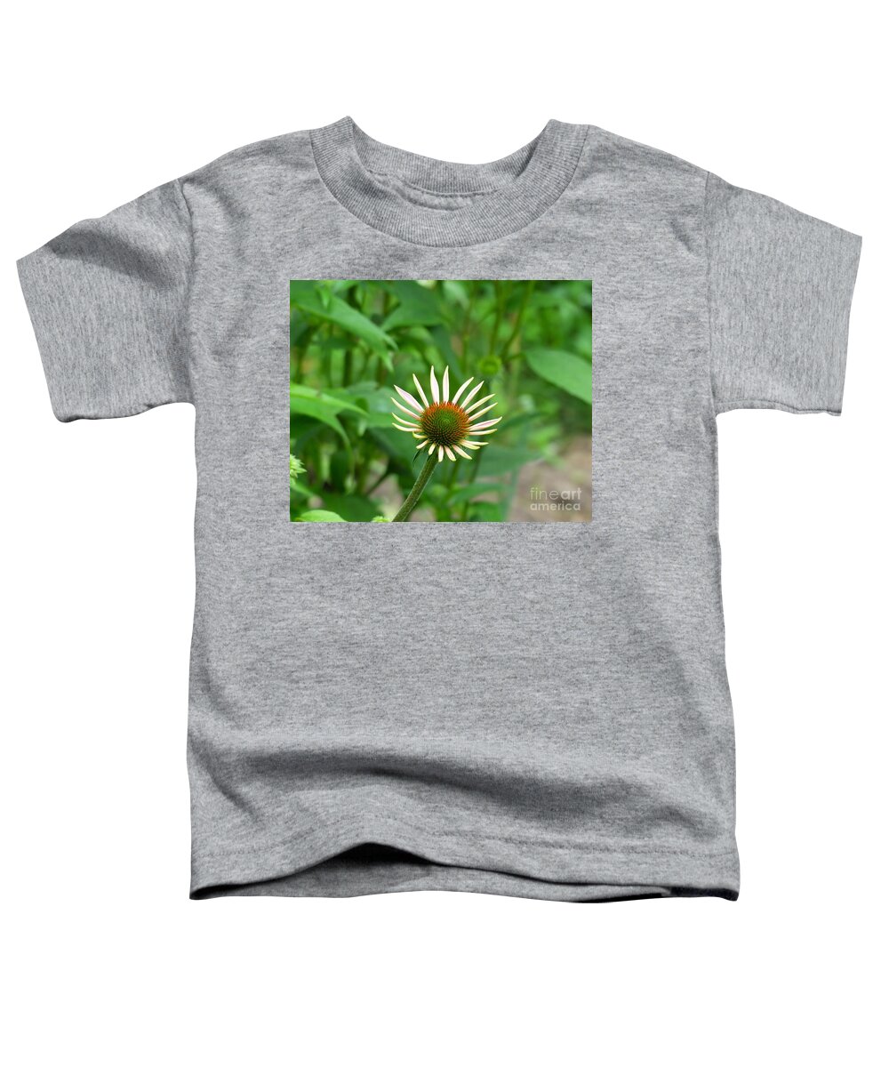 Garden Flower Toddler T-Shirt featuring the photograph Lone Beauty by Rosanne Licciardi