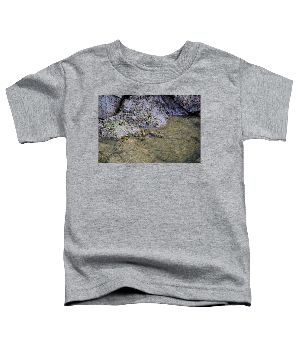 Starfish Toddler T-Shirt featuring the photograph Lonely Star Fish by James Cousineau