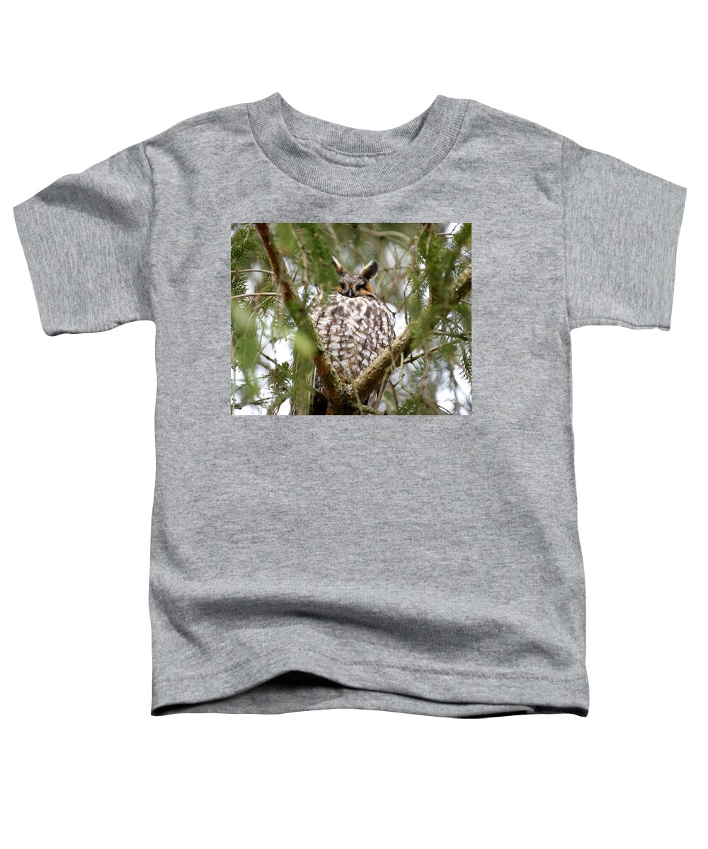 Owl Toddler T-Shirt featuring the photograph Long Eared Owl Sleeping by Flinn Hackett