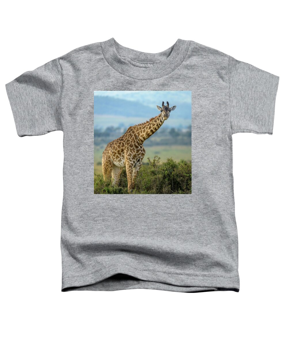 Africa Toddler T-Shirt featuring the photograph Long Necked by Laura Hedien