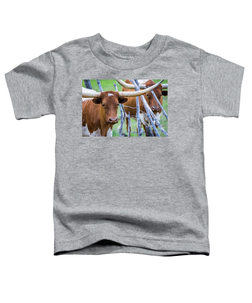 Longhorn Toddler T-Shirt featuring the photograph Longhorn #2 by Vincent Bonafede