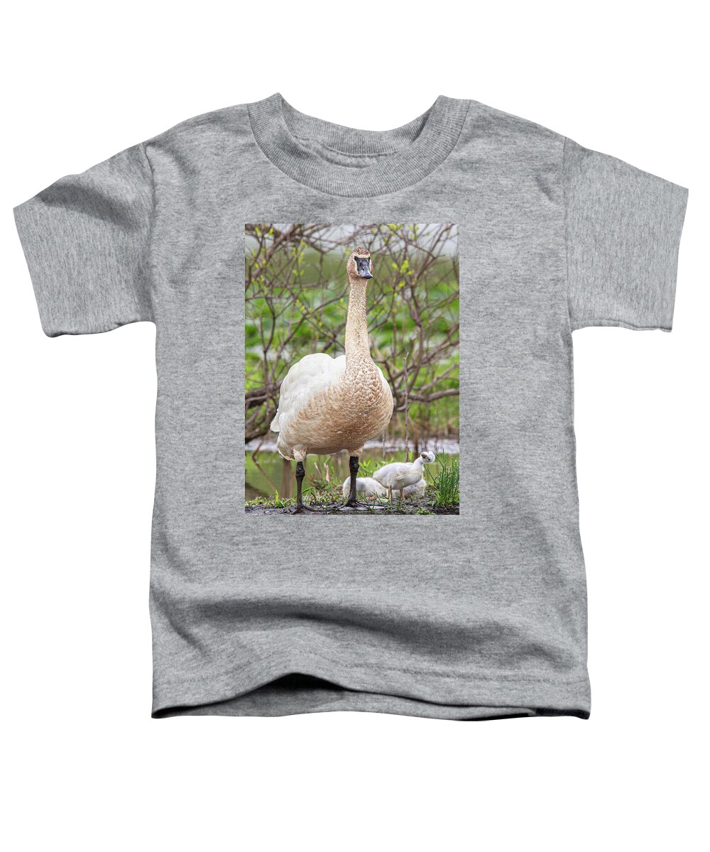 Looking Up To Dad Toddler T-Shirt featuring the photograph Looking Up To Dad by Dale Kincaid