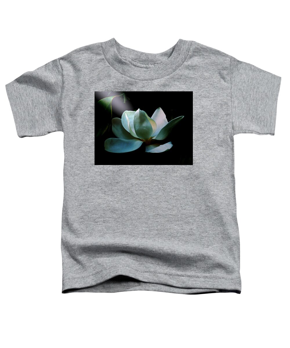 Flower Toddler T-Shirt featuring the photograph Magnolia Closeup Early Morning Light Spotlight by Mike McBrayer