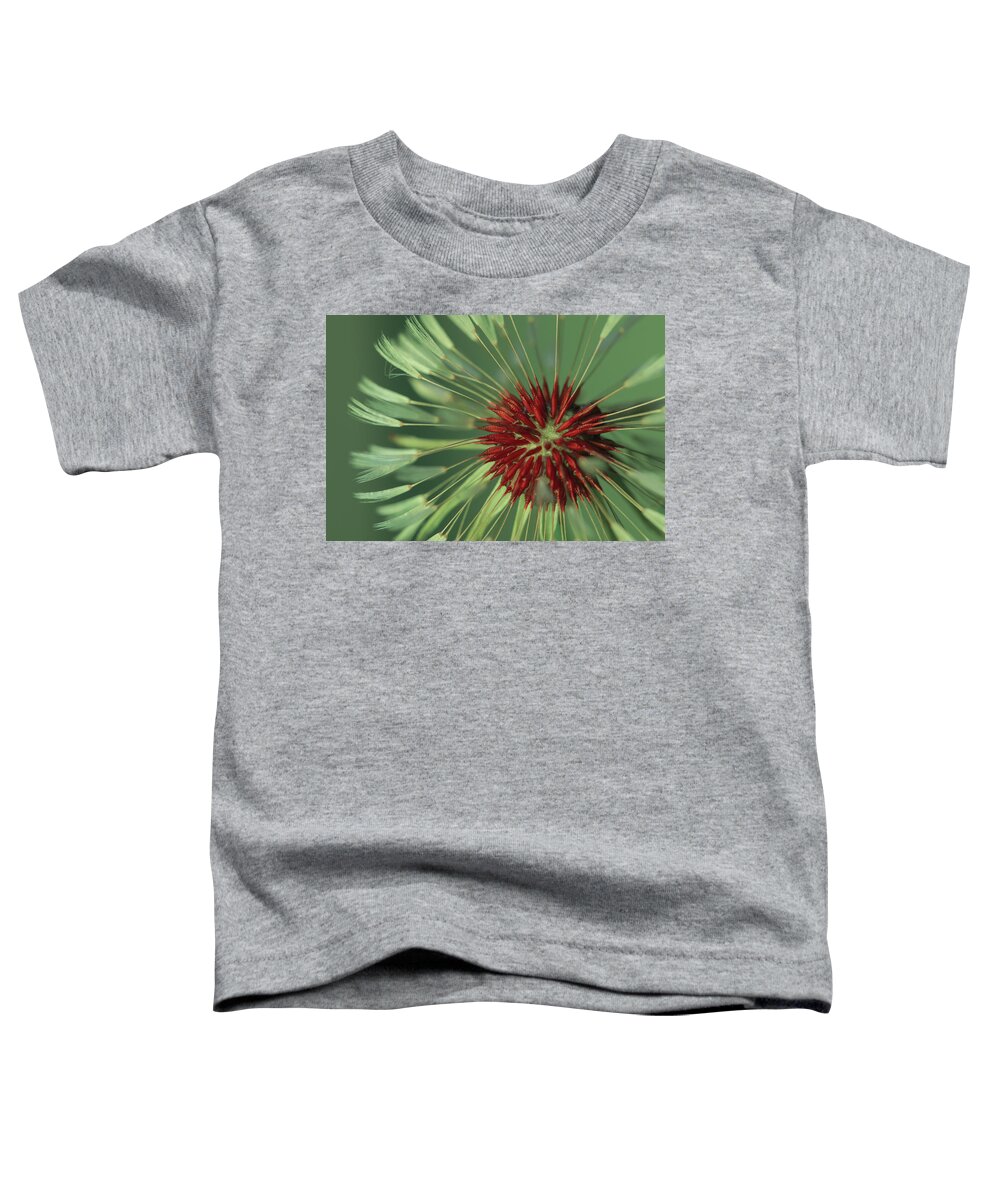 Mountain Toddler T-Shirt featuring the photograph Make a Wish by Go and Flow Photos