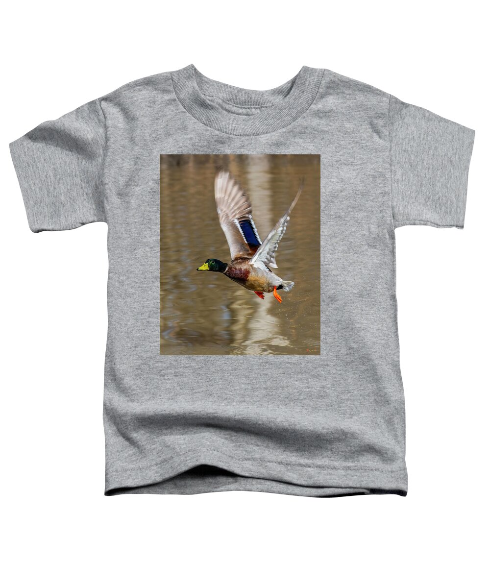 Nature Toddler T-Shirt featuring the photograph Mallard Drake in Flight DWF0252 by Gerry Gantt