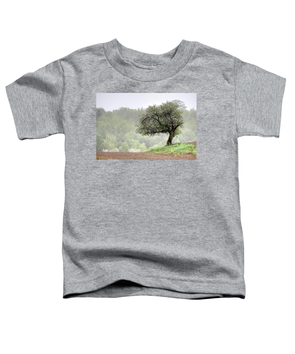 Trees Toddler T-Shirt featuring the photograph Marilla Tree by Don Nieman