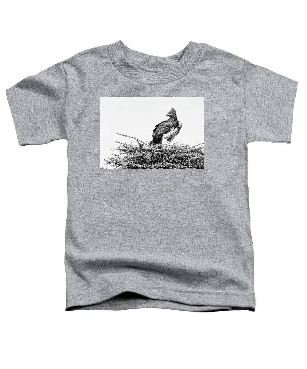 Martial Eagle Toddler T-Shirt featuring the photograph Martial Eagle by Max Waugh