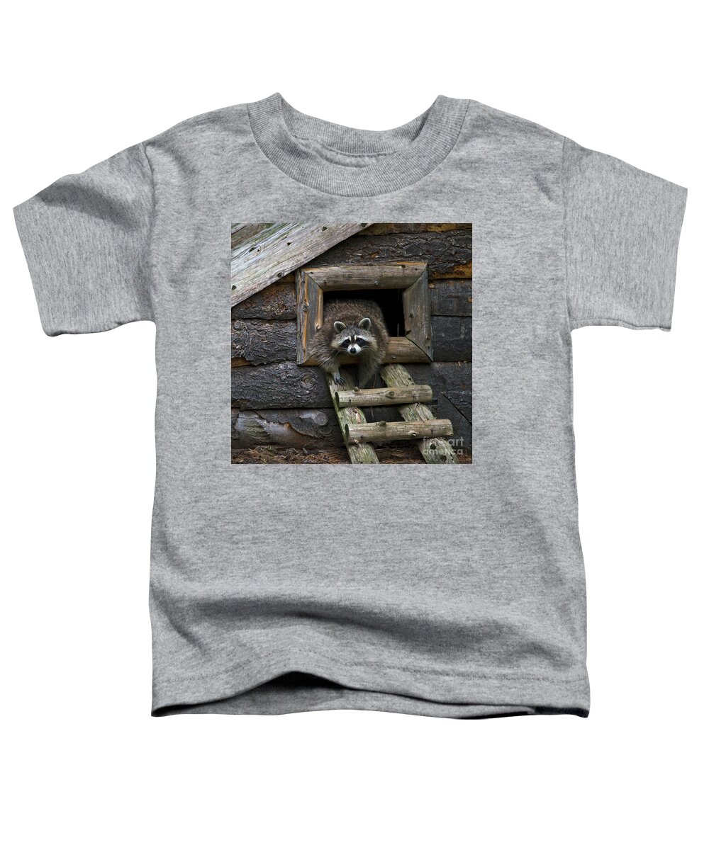 Festblues Toddler T-Shirt featuring the photograph Masked Bandit by Nina Stavlund