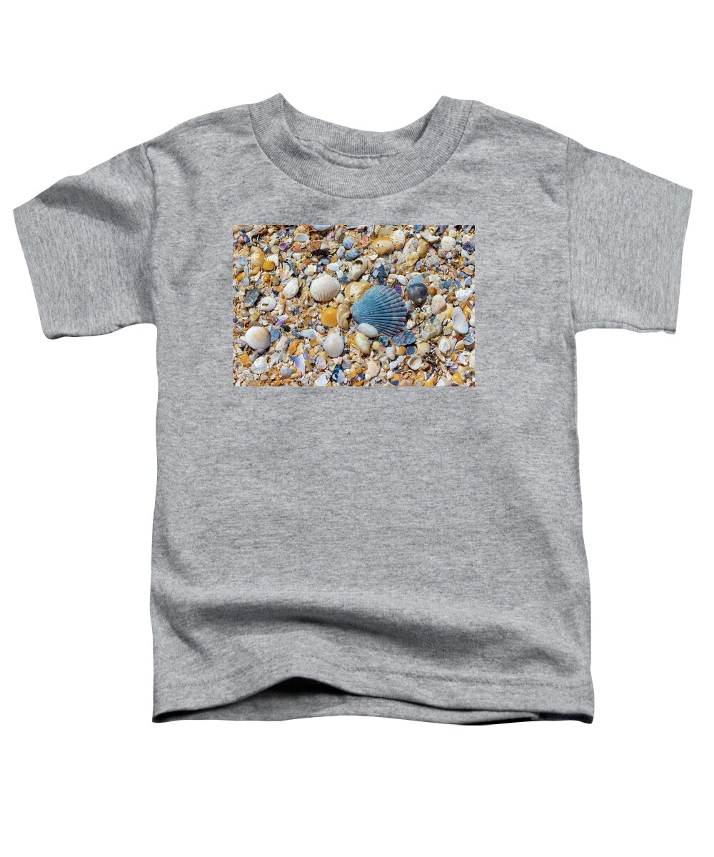 Shell Toddler T-Shirt featuring the photograph Ocean Shell Treasures by Blair Damson