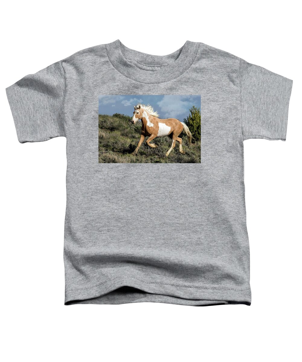 Wild Toddler T-Shirt featuring the photograph Meteor by Dawn Key