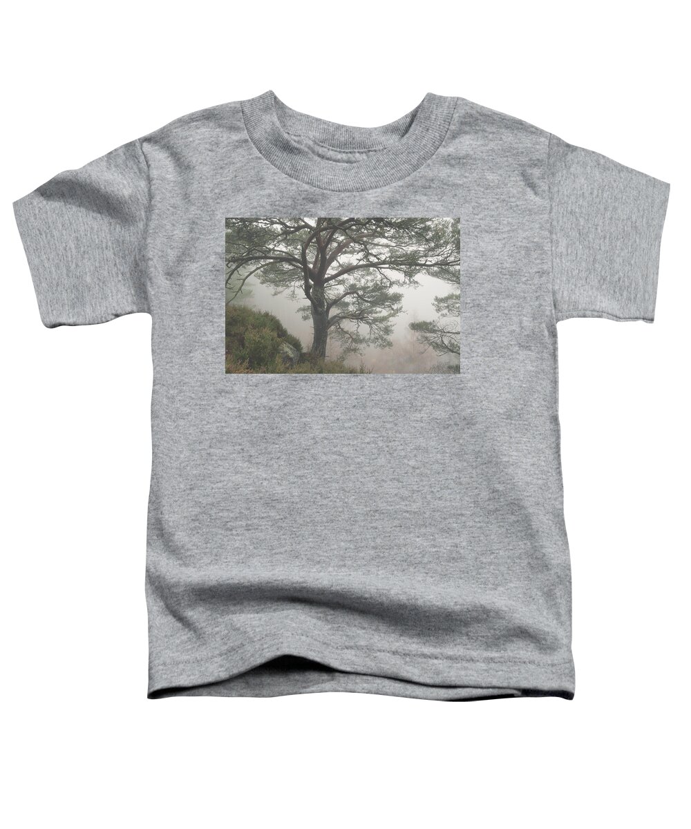 Scots Pine Toddler T-Shirt featuring the photograph Misty Scots Pine by Gavin MacRae