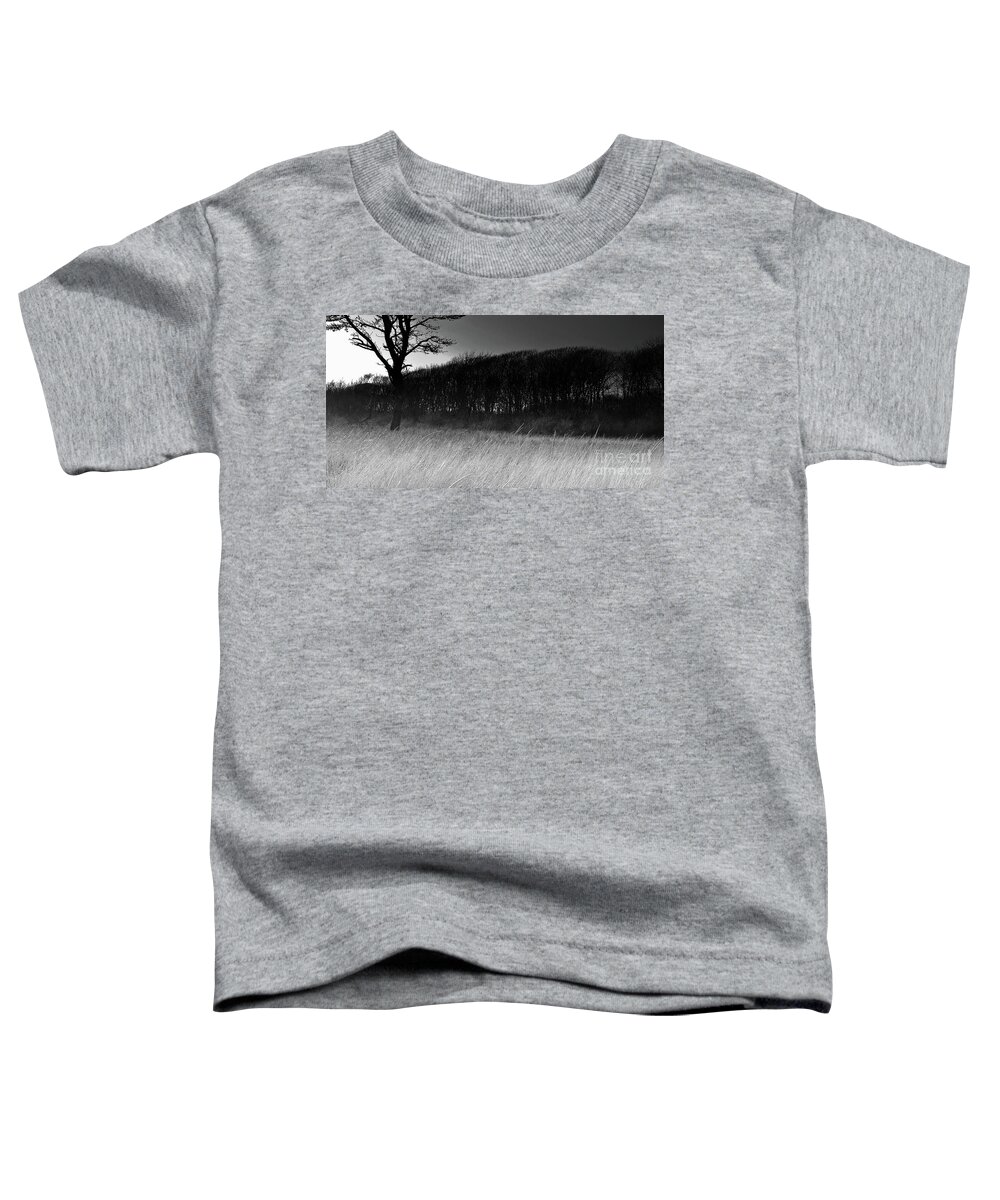 Coastline Toddler T-Shirt featuring the photograph Moody Atmosphere by Marcia Lee Jones