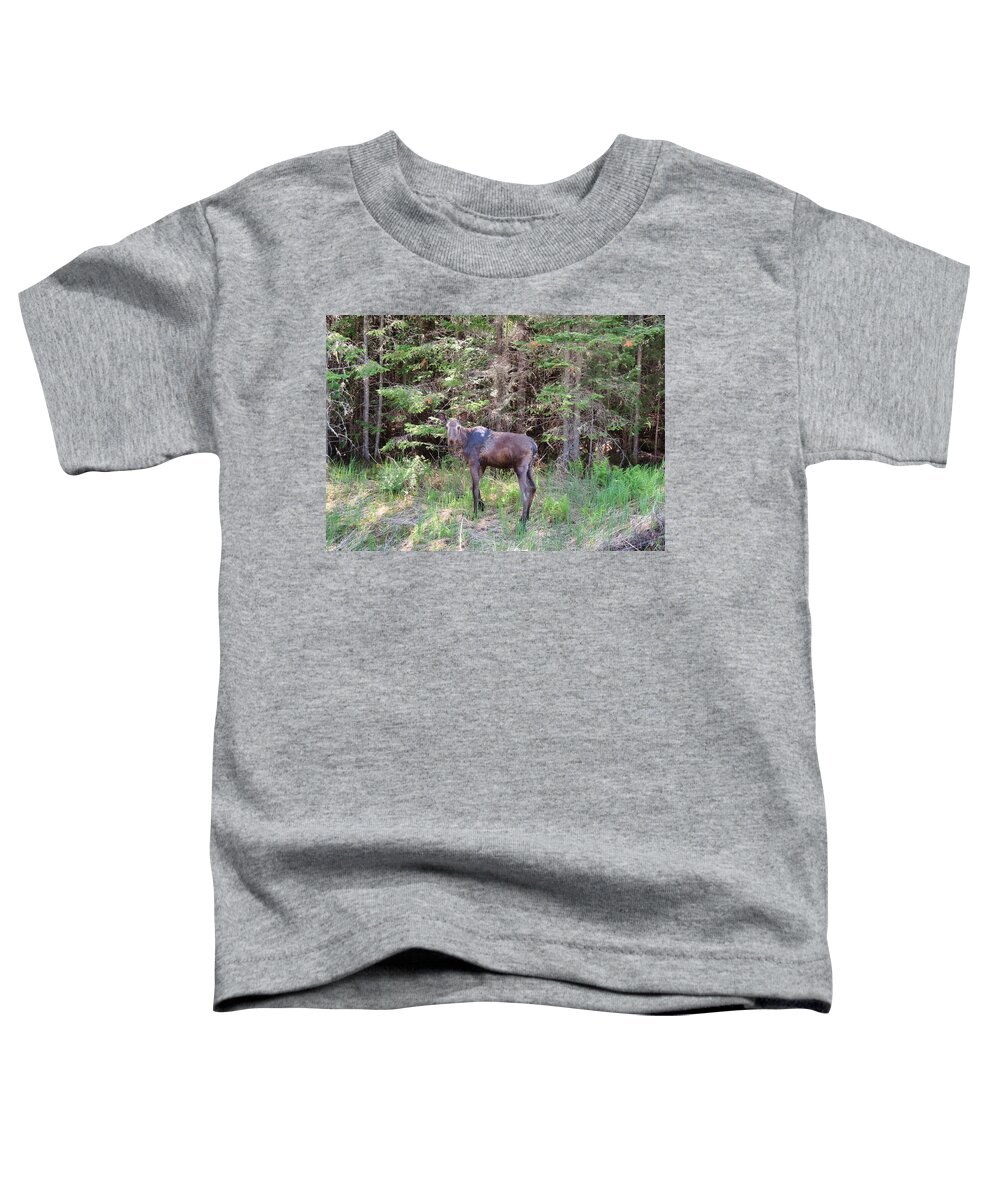 Moose Toddler T-Shirt featuring the photograph Moose Looking at You by Russel Considine
