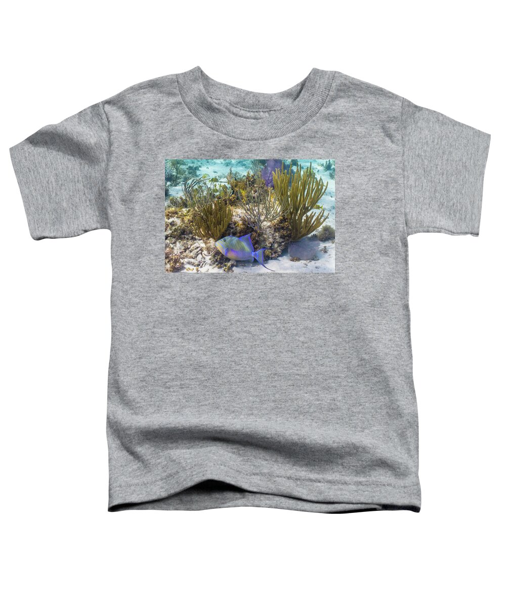 Animals Toddler T-Shirt featuring the photograph More Royalty by Lynne Browne