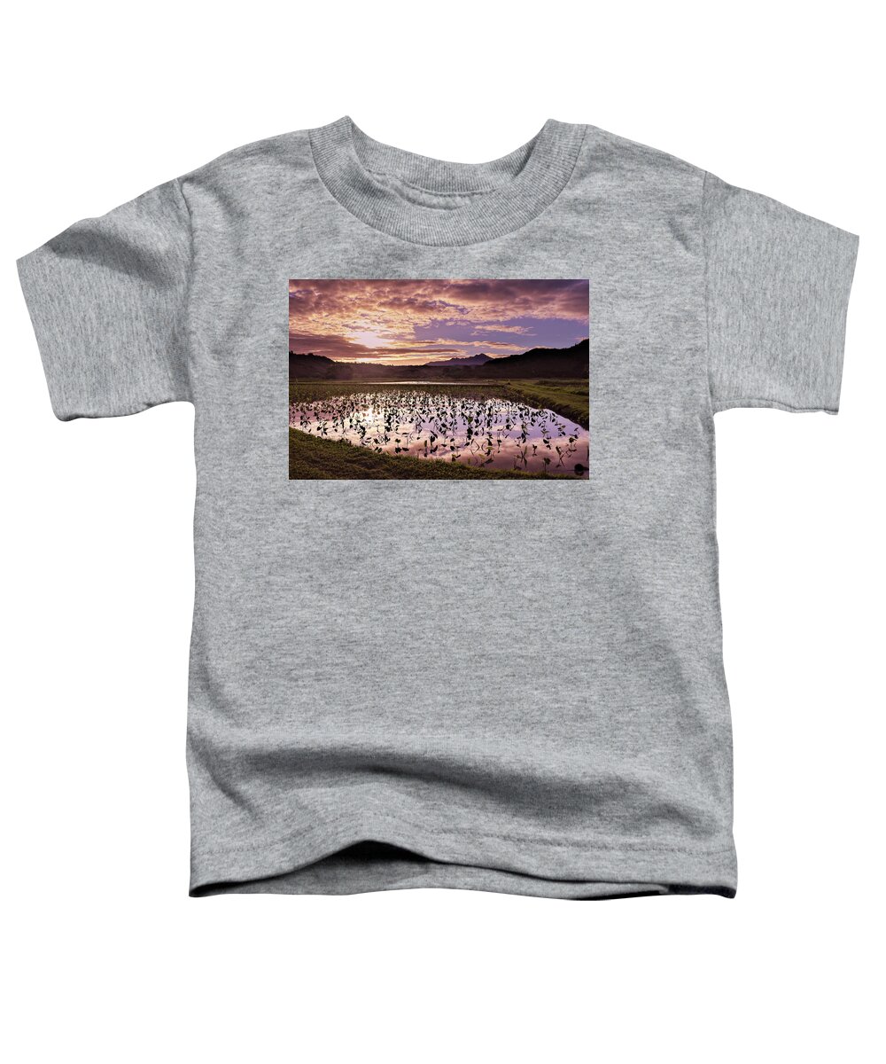 Kauai Toddler T-Shirt featuring the photograph Morning Taro by Tony Spencer