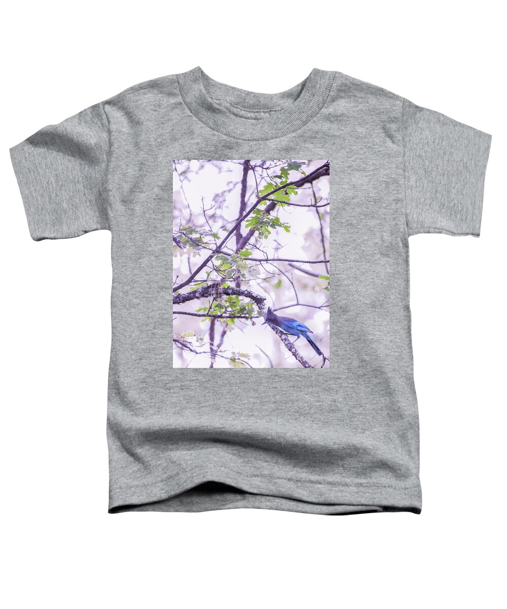 Nature Toddler T-Shirt featuring the photograph Mountain Blue Jay by Sally Bauer
