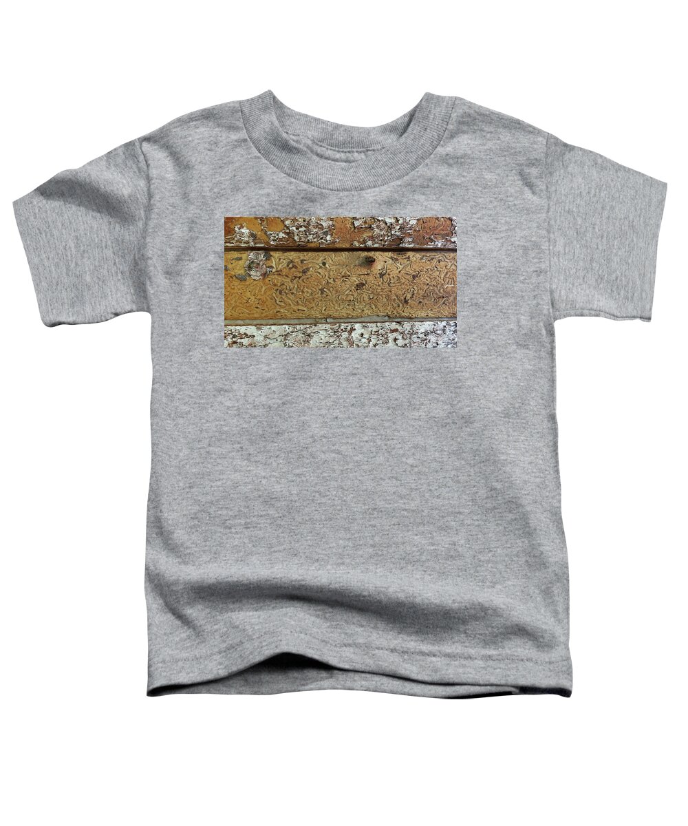 Historic Toddler T-Shirt featuring the photograph My Neighborhood Estes Textures 2 by Laura Davis
