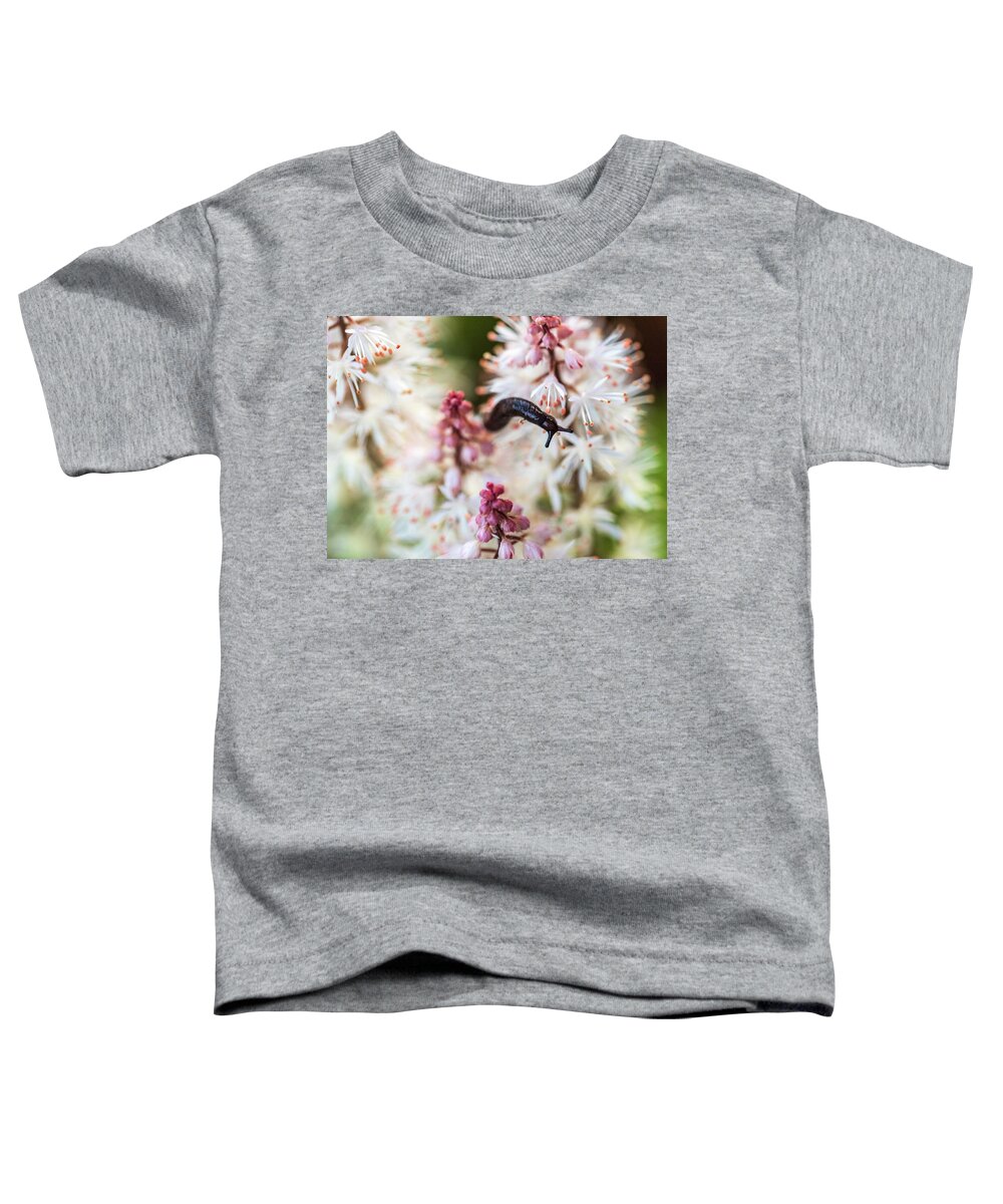 Flowers & Plants Toddler T-Shirt featuring the photograph Nature Photography - In The Flower Garden by Amelia Pearn