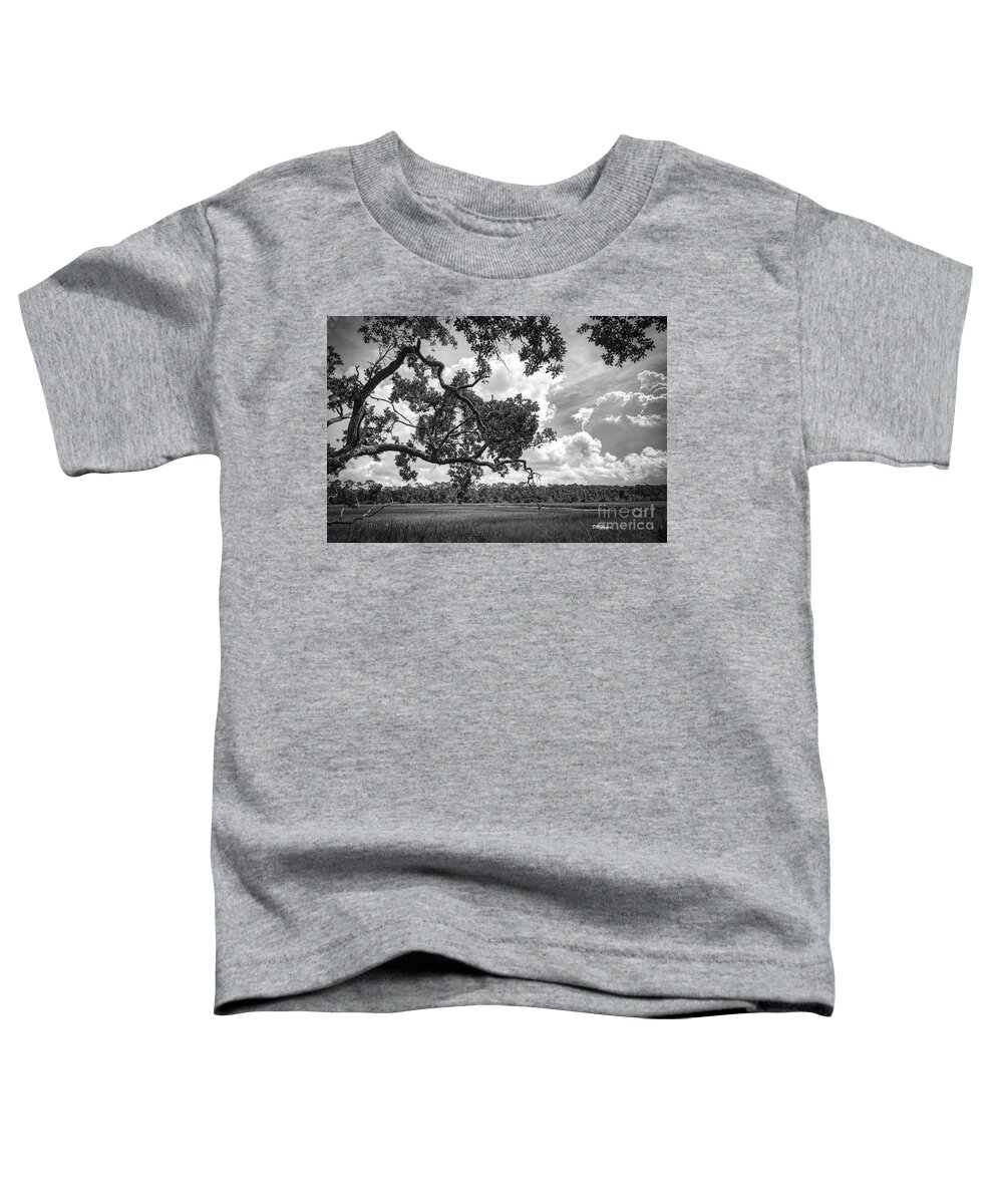 Nature Toddler T-Shirt featuring the photograph Natures Serenity In Black and White by DB Hayes