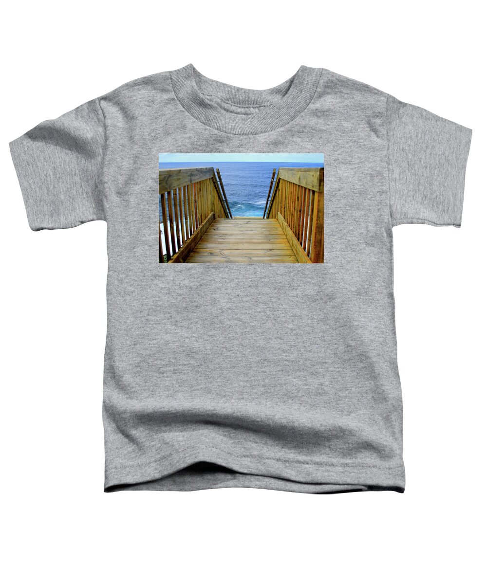 Boardwalk Toddler T-Shirt featuring the photograph Next Step Antarctica - Kangaroo Island by Gene Taylor