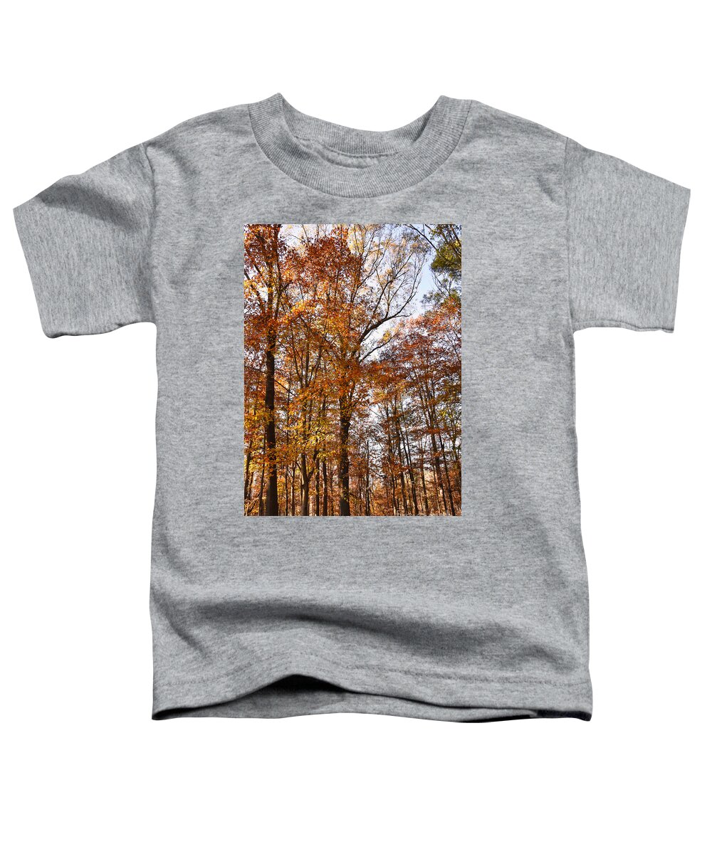 North Georgia Toddler T-Shirt featuring the photograph North Georgia Fall Colors 3 by Andrea Anderegg