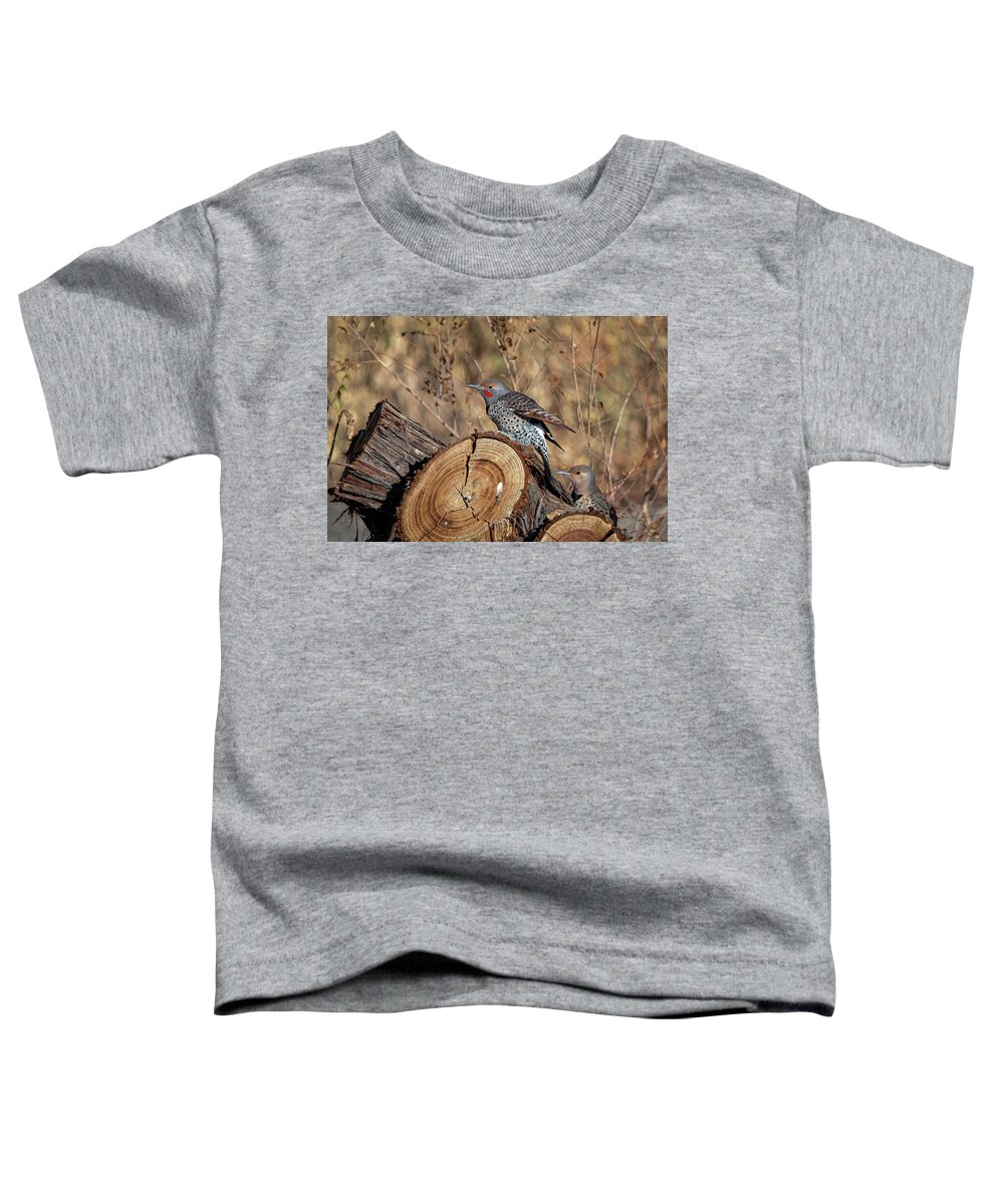 Northern Flicker Woodpecker Toddler T-Shirt featuring the photograph Northern Flickers by Rick Mosher