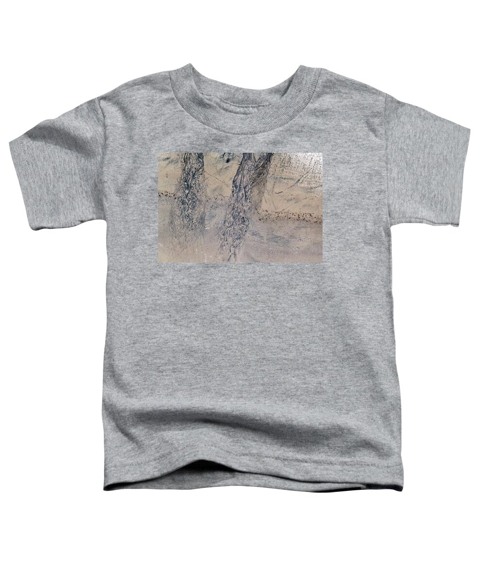 Oregon Toddler T-Shirt featuring the photograph Oceanside Beach Aerial Design by Christopher Johnson