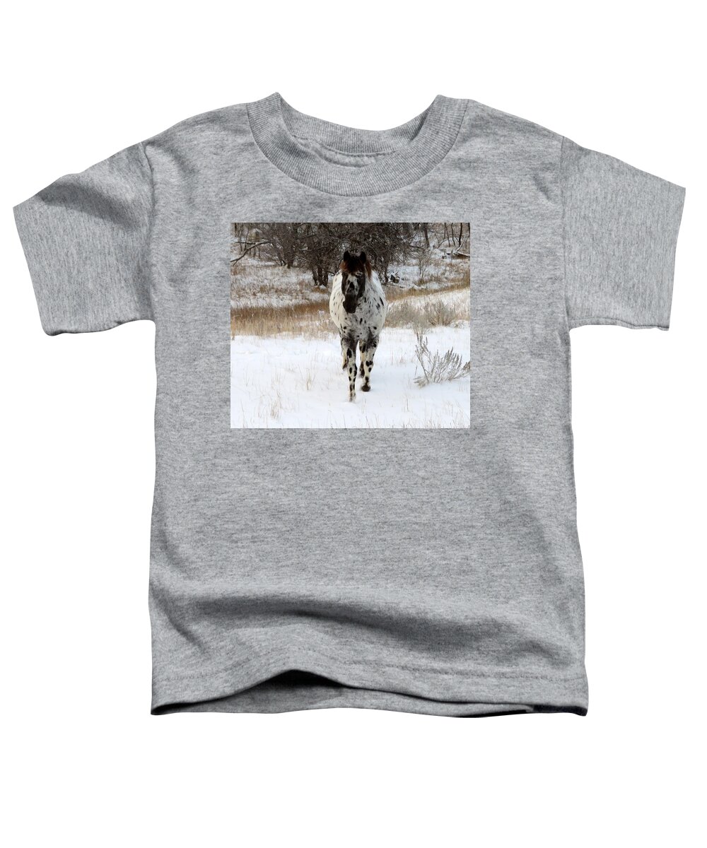 Appaloosa Toddler T-Shirt featuring the photograph October Snow by Katie Keenan
