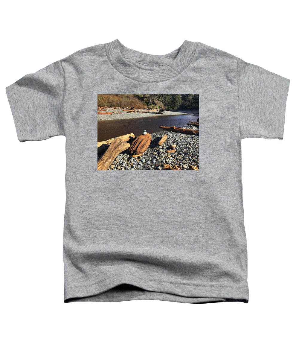 Rocks Toddler T-Shirt featuring the photograph Olympic National Park by Jerry Abbott