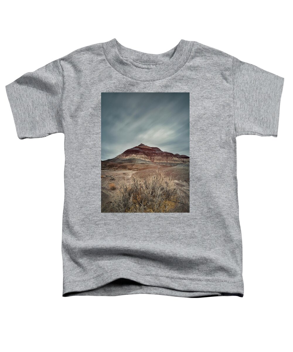 Arizona Toddler T-Shirt featuring the photograph Only In Arizona 25 by Robert Fawcett