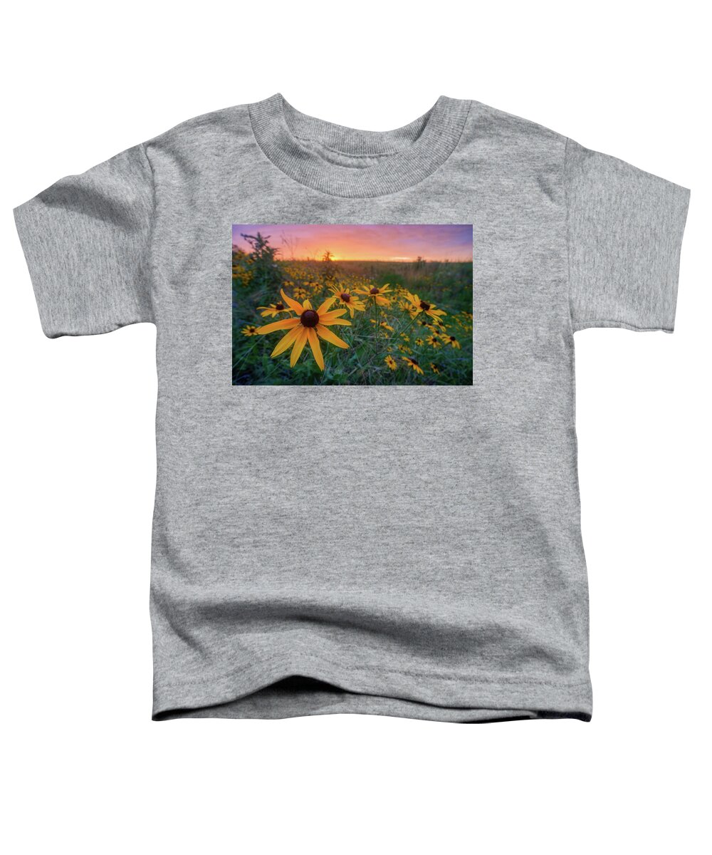 Wildflower Toddler T-Shirt featuring the photograph Paintbrush Prairie II by Robert Charity