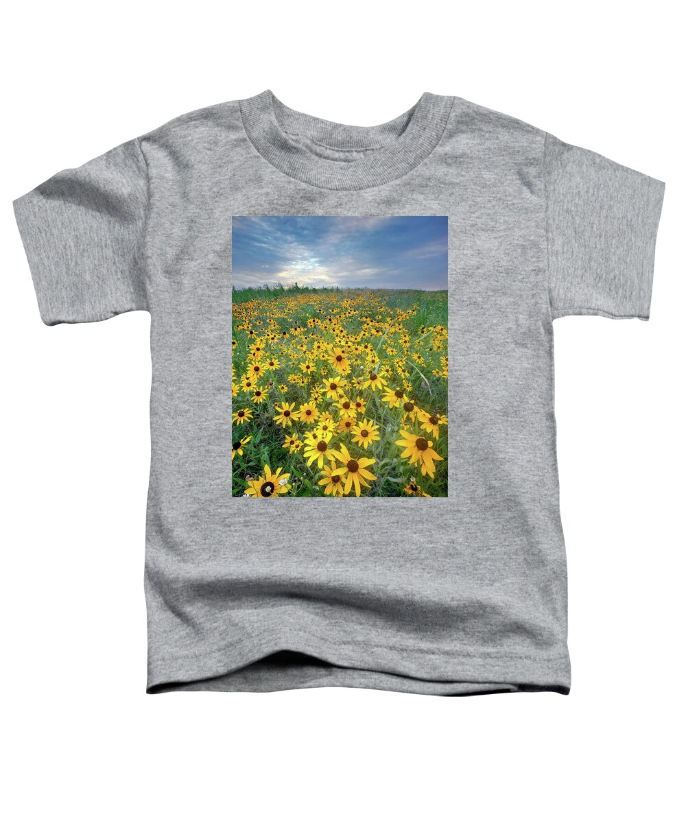 Conservation Area Toddler T-Shirt featuring the photograph Paintbrush Prarie I by Robert Charity