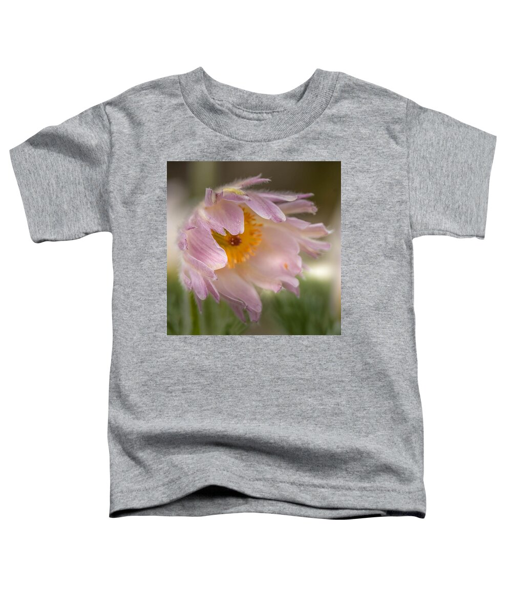Spring Toddler T-Shirt featuring the photograph Pasque Flower in the Wind by Susan Rydberg
