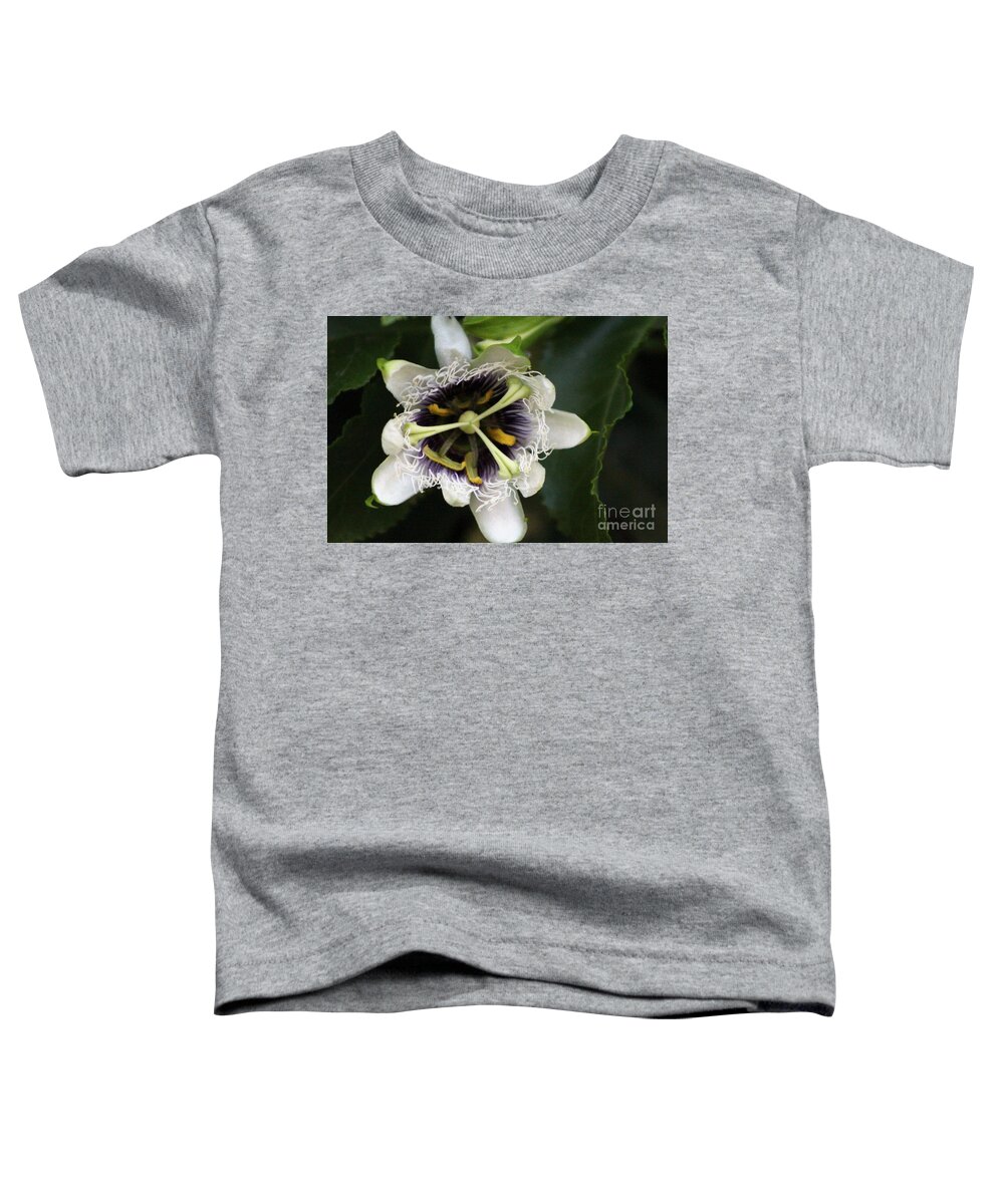 Passion Fruit Toddler T-Shirt featuring the photograph Passion Flower Closeup 2 by Colleen Cornelius