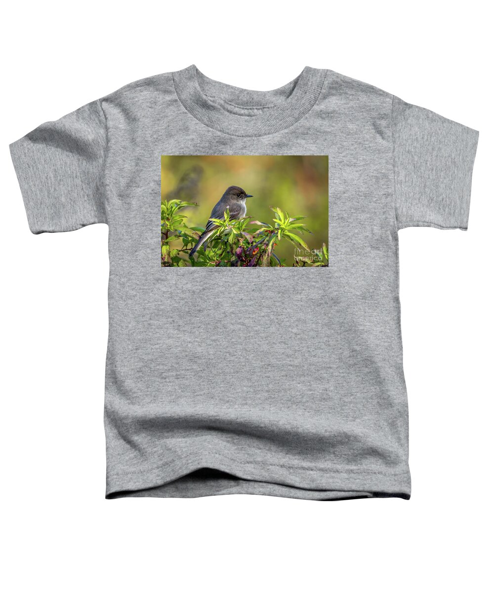 Phoebe Toddler T-Shirt featuring the photograph Phoebe and Croton by Tom Claud