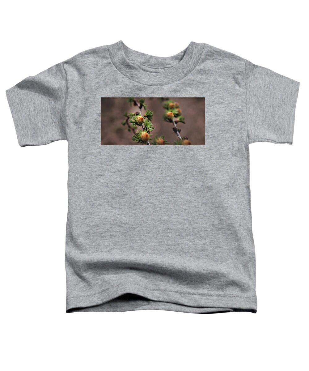 Tree Toddler T-Shirt featuring the photograph Pine cones by M Fotograaf